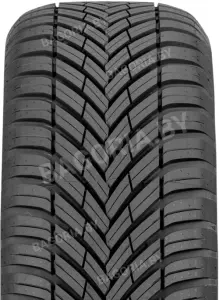 Легковые шины Toyo Celsius AS2