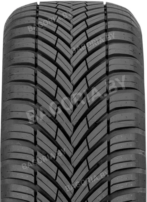Легковые шины Toyo Celsius AS2