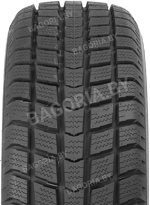 Зимняя шина Roadstone Euro-Win 700