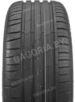 205/55R16 91V